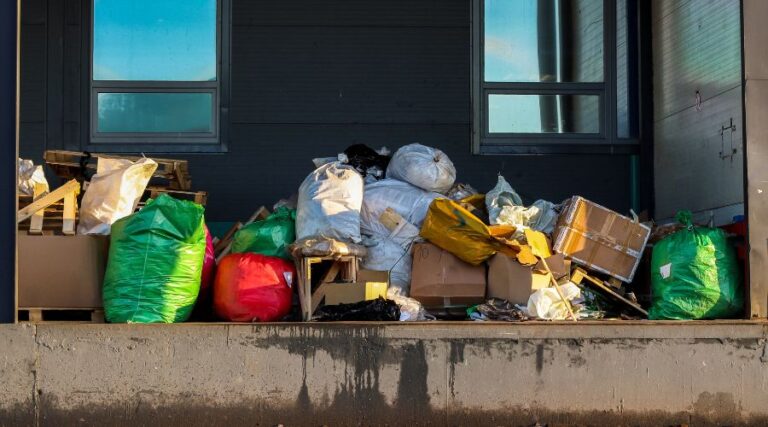 junk removal service